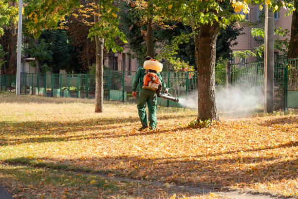 Best Pest Inspection Near Me  in Harrisburg, NC