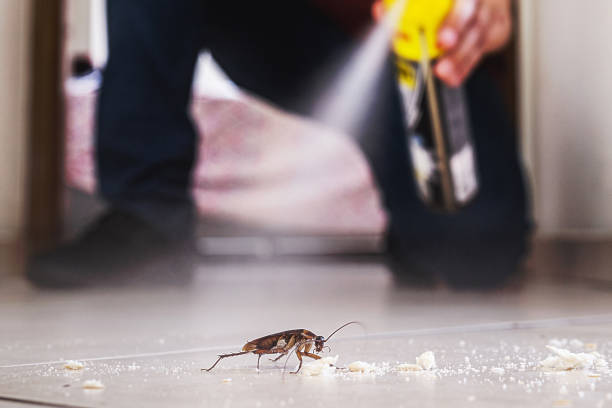 Pest Prevention Services in Harrisburg, NC